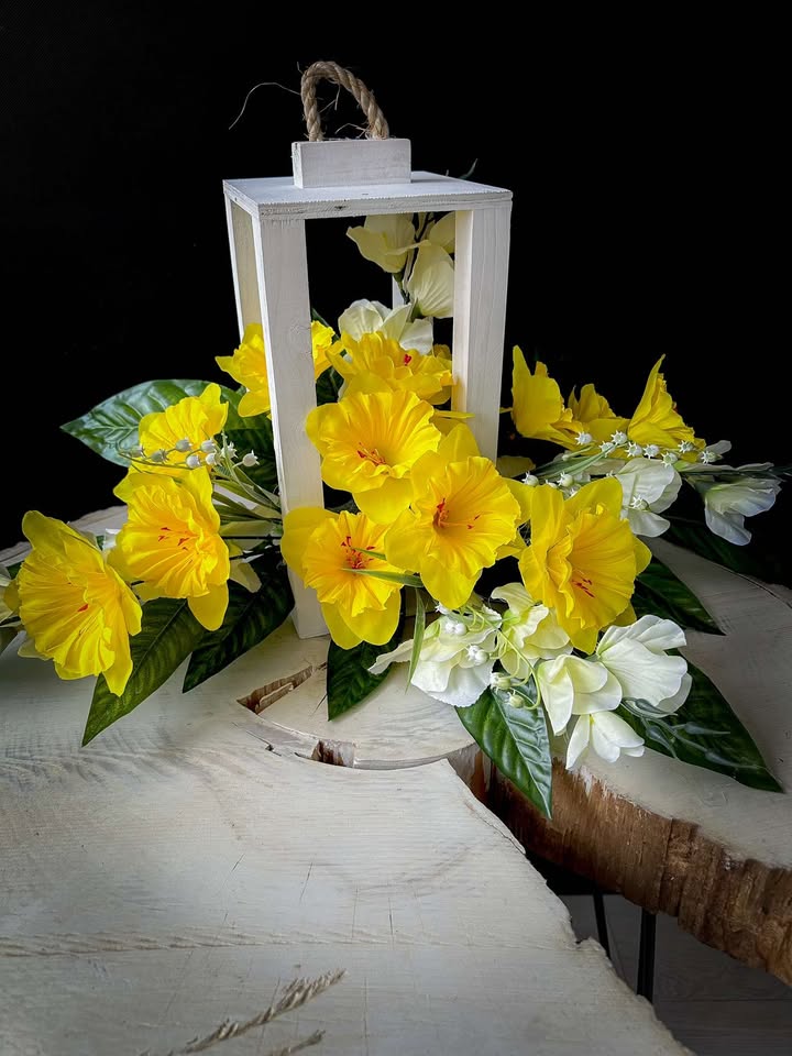 476481003_1333371181035964_304654469027830024_n